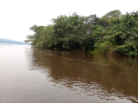 Elilingi ya mayi ya kwilu.